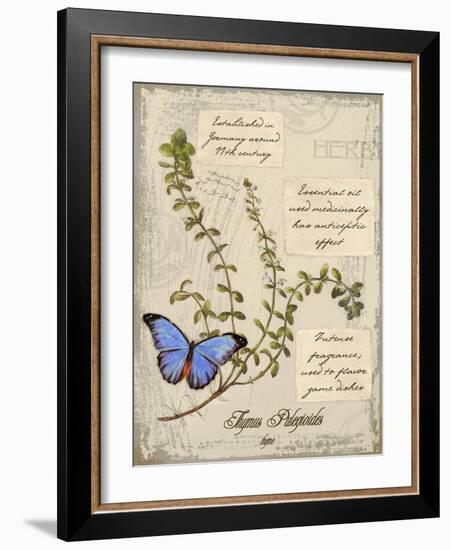 Thyme-Kate Ward Thacker-Framed Giclee Print