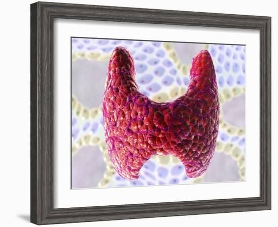 Thyroid Follicles, Artwork-David Mack-Framed Photographic Print