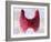 Thyroid Follicles, Artwork-David Mack-Framed Photographic Print