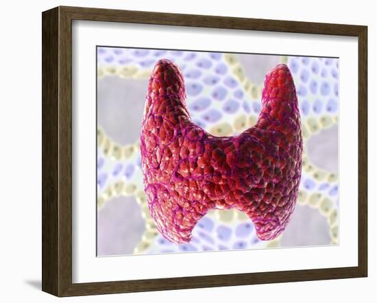 Thyroid Follicles, Artwork-David Mack-Framed Photographic Print