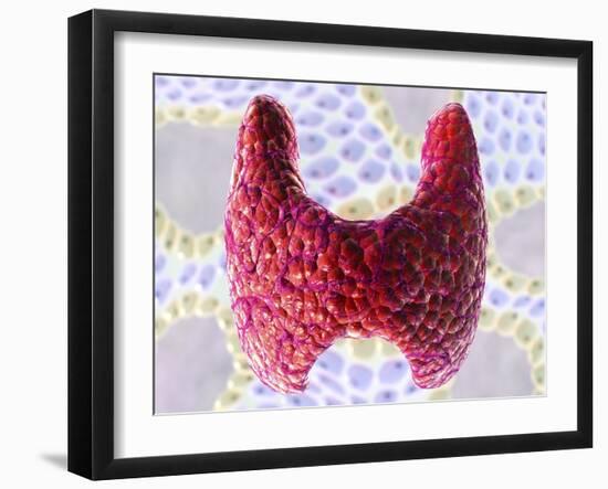 Thyroid Follicles, Artwork-David Mack-Framed Photographic Print