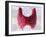 Thyroid Follicles, Artwork-David Mack-Framed Photographic Print