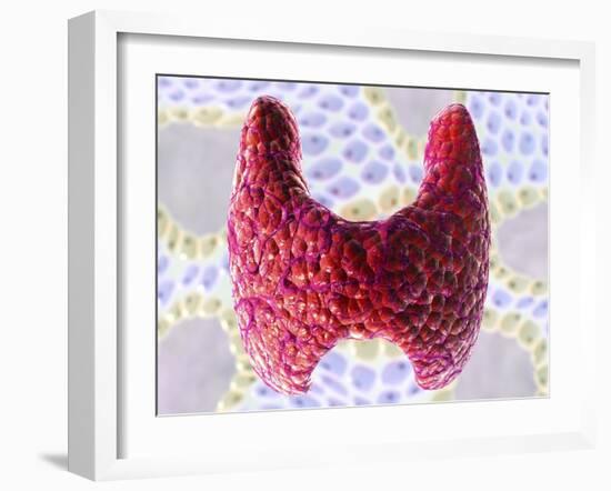Thyroid Follicles, Artwork-David Mack-Framed Photographic Print