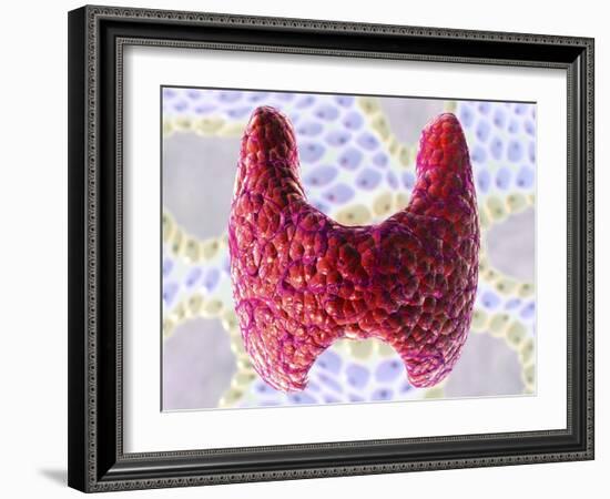 Thyroid Follicles, Artwork-David Mack-Framed Photographic Print