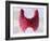 Thyroid Follicles, Artwork-David Mack-Framed Photographic Print