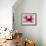 Thyroid Follicles-David Mack-Framed Photographic Print displayed on a wall