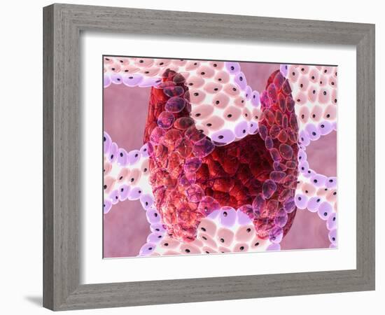 Thyroid Follicles-David Mack-Framed Photographic Print