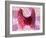 Thyroid Follicles-David Mack-Framed Photographic Print