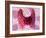 Thyroid Follicles-David Mack-Framed Photographic Print