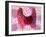 Thyroid Follicles-David Mack-Framed Photographic Print