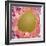 Thyroid Gland Follicle, TEM-Steve Gschmeissner-Framed Premium Photographic Print