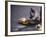 Tibetan Buddhist Pilgrim Reading Texts and Holding Prayer Wheel, Lhasa, China-Alison Wright-Framed Photographic Print