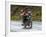 Tibetan Family Traveling on Motorbike in the Mountains, East Himalayas, Tibet, China-Keren Su-Framed Photographic Print