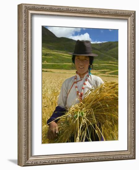 Tibetan Farmer Harvesting Barley, East Himalayas, Tibet, China-Keren Su-Framed Photographic Print