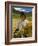 Tibetan Farmer Harvesting Barley, East Himalayas, Tibet, China-Keren Su-Framed Photographic Print