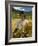 Tibetan Farmer Harvesting Barley, East Himalayas, Tibet, China-Keren Su-Framed Photographic Print