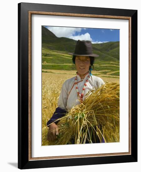 Tibetan Farmer Harvesting Barley, East Himalayas, Tibet, China-Keren Su-Framed Photographic Print