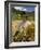 Tibetan Farmer Harvesting Barley, East Himalayas, Tibet, China-Keren Su-Framed Photographic Print