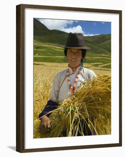 Tibetan Farmer Harvesting Barley, East Himalayas, Tibet, China-Keren Su-Framed Photographic Print