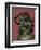 Tibetan gilt-bronze statuette of Mahakala. Artist: Unknown-Unknown-Framed Giclee Print