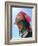 Tibetan Girl, Tibet, China-Keren Su-Framed Photographic Print