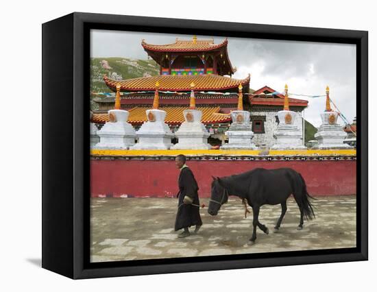Tibetan Man with Horse in Tagong Monastery, Sichuan, China-Keren Su-Framed Premier Image Canvas