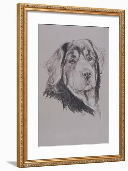 Tibetan Mastiff-Barbara Keith-Framed Giclee Print