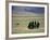 Tibetan Men Play Pool-null-Framed Photographic Print