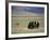 Tibetan Men Play Pool-null-Framed Photographic Print