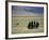 Tibetan Men Play Pool-null-Framed Photographic Print