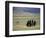 Tibetan Men Play Pool-null-Framed Photographic Print