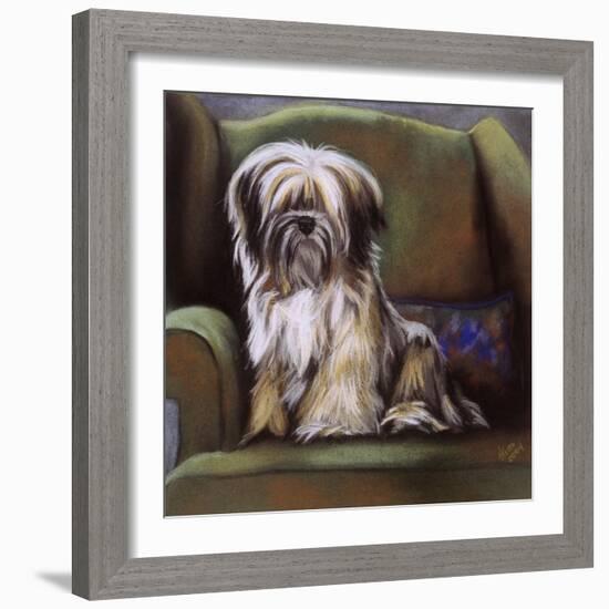 Tibetan Terrier-Barbara Keith-Framed Giclee Print