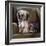 Tibetan Terrier-Barbara Keith-Framed Giclee Print