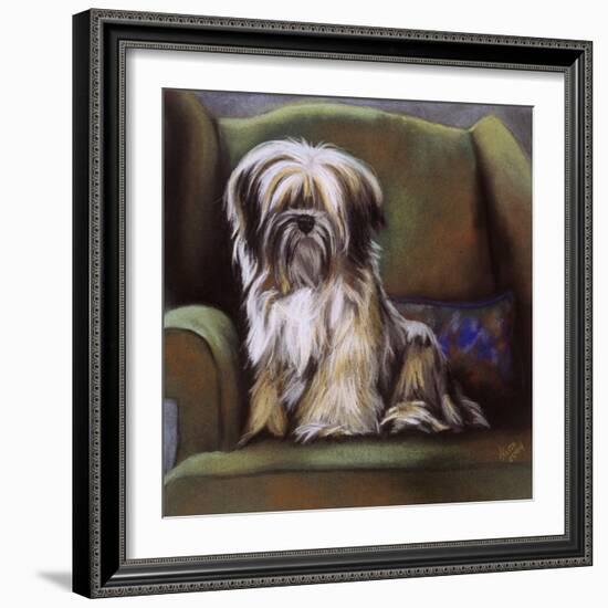 Tibetan Terrier-Barbara Keith-Framed Giclee Print