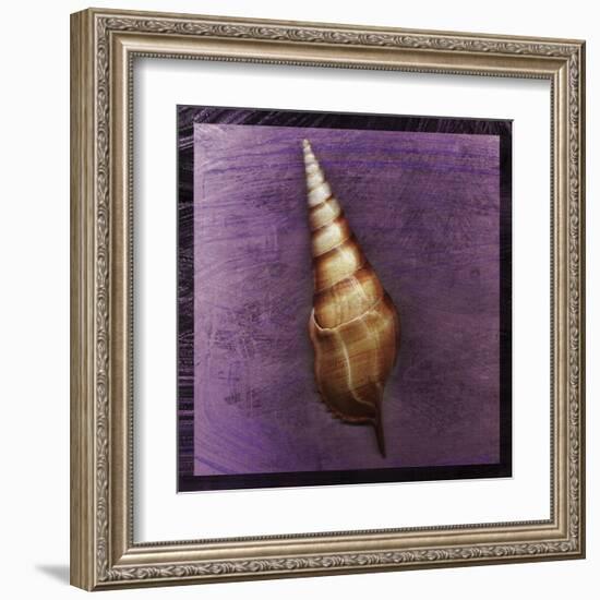 Tibia Shell-John Golden-Framed Art Print