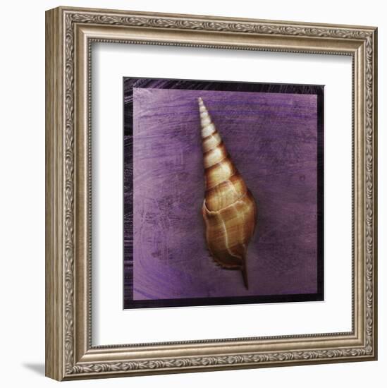 Tibia Shell-John W^ Golden-Framed Art Print