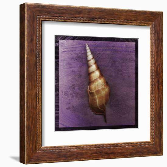 Tibia Shell-John W^ Golden-Framed Art Print