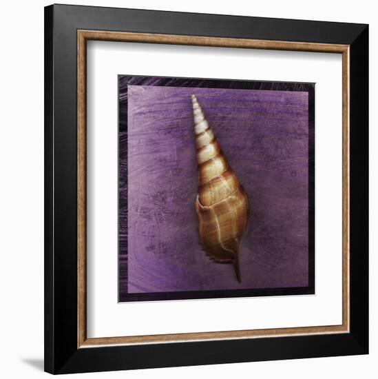 Tibia Shell-John W^ Golden-Framed Art Print