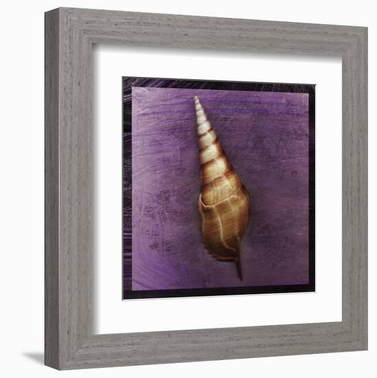 Tibia Shell-John W^ Golden-Framed Art Print