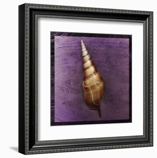 Tibia Shell-John W^ Golden-Framed Art Print