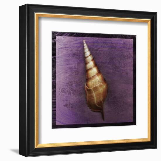 Tibia Shell-John W^ Golden-Framed Art Print