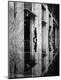 Premium Photographic Print