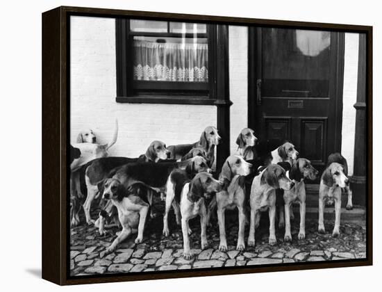 Tickham Foxhounds-null-Framed Premier Image Canvas