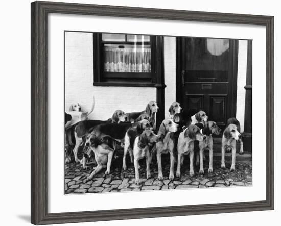 Tickham Foxhounds-null-Framed Photographic Print