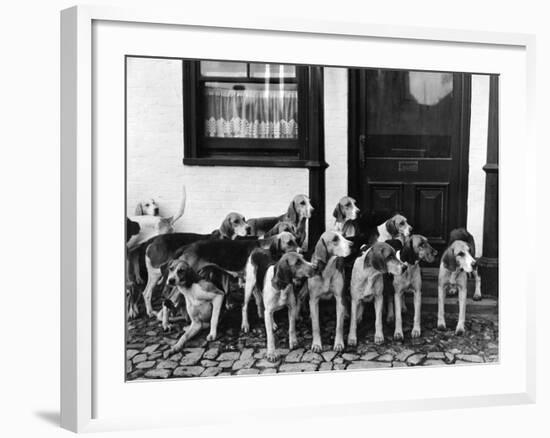 Tickham Foxhounds-null-Framed Photographic Print