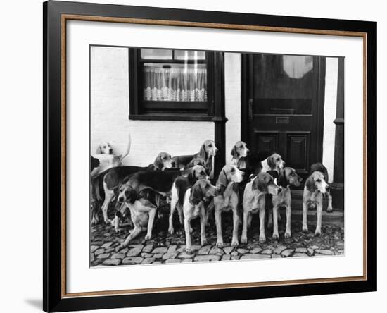 Tickham Foxhounds-null-Framed Photographic Print