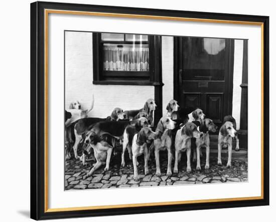 Tickham Foxhounds-null-Framed Photographic Print