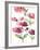 Tickled Pink Posies-Rebecca Meyers-Framed Art Print