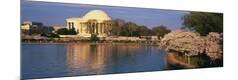 Premium Photographic Print