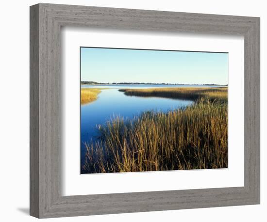 Tidal Creek Empties into Biddeford Pool, Anuszewski Property, Maine, USA-Jerry & Marcy Monkman-Framed Photographic Print